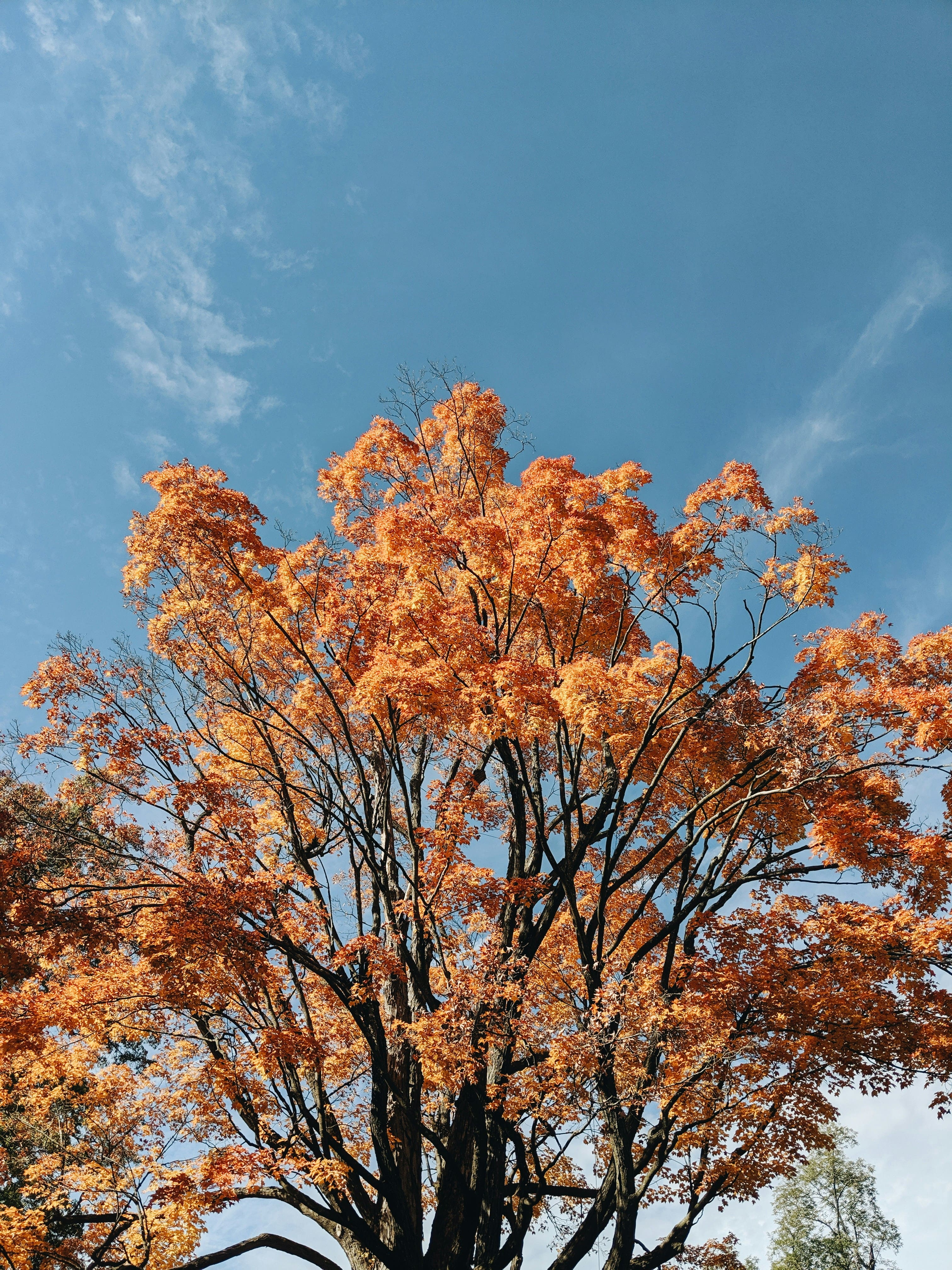 Juliana Malta Uxpzkxgnu K Unsplash